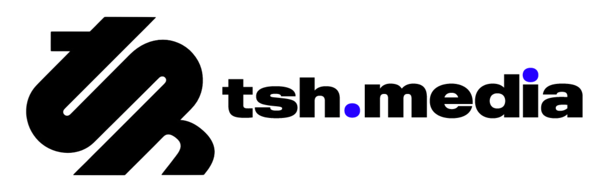 Top Digital Marketing Agency in Mumbai | tsh.media