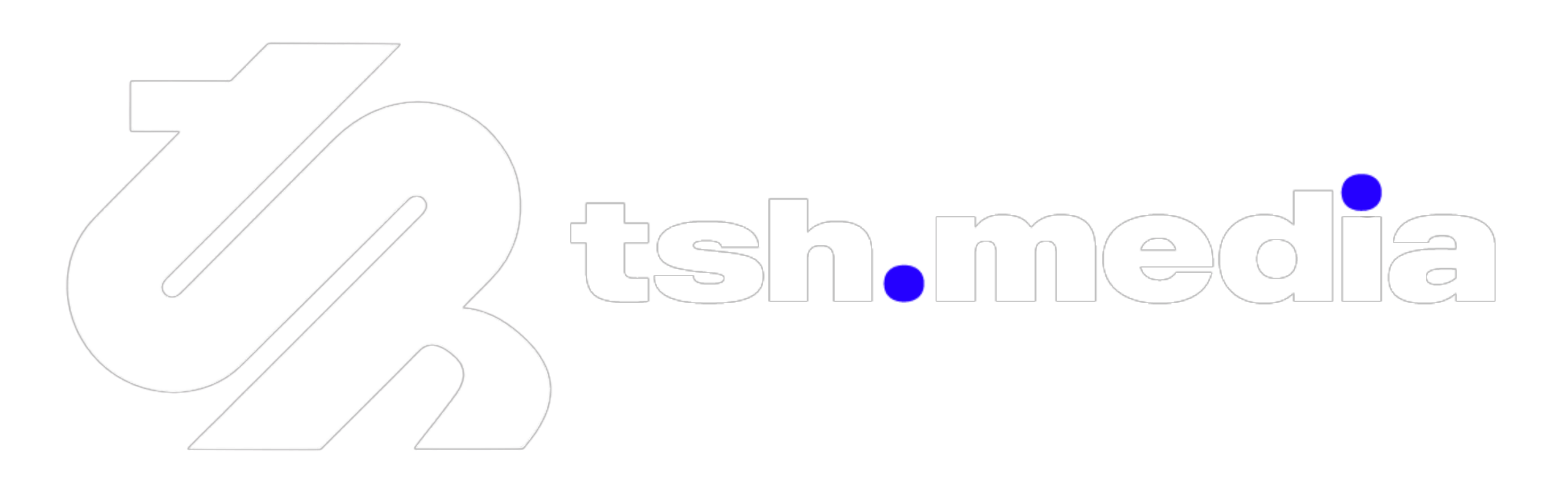 Top Digital Marketing Agency in Mumbai | tsh.media